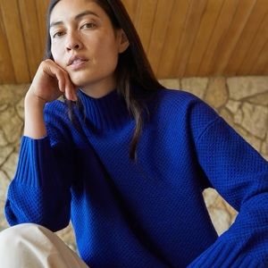 Everlane Cashmere Stroopwafel Turtleneck
